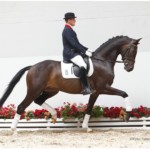 justperfect welthit o